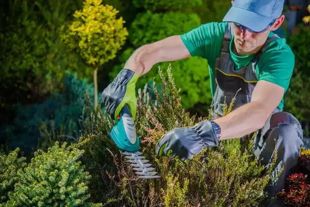 landscaping services Prospect